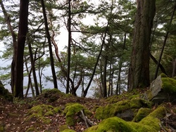 Top of the Steep Section