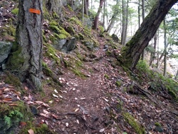 Very Steep Rocky Section