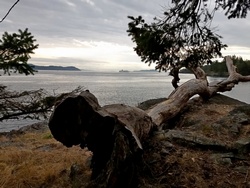Great Views on the Waterfront Sections