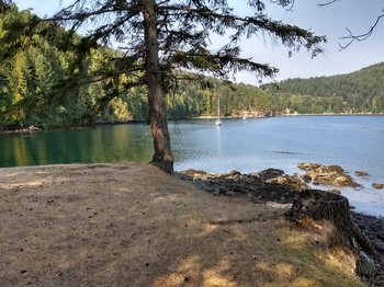 Peaceful Narvaez Bay