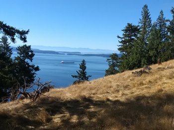 On the Way to the Ridge
