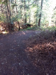 Easy but Steep Trail