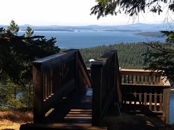 Viewing Platform