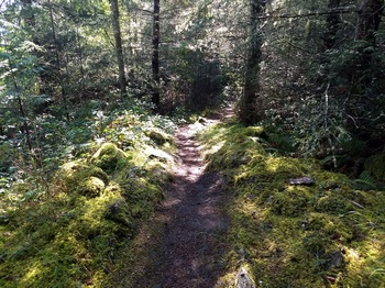Steep Trail to Canal Rd.