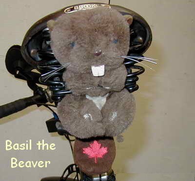 Hi! My name's Basil Hi! My name's Basil