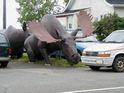Strange sights along the route!