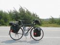 Look at wind in the trees - headwinds!