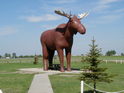 The Famous Moose at Moose Jaw