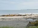 Risser's Beach