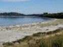 Beautiful Beach!
