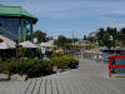 Boardwalk at the Harbour