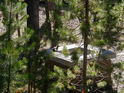 Chipmunk buddy at the campground dish wash