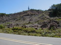 Another clearcut!