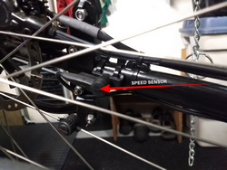 Speed Sensor on Rear Chainstay