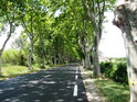 Beautiful Boulevards