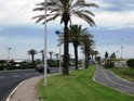 Palm Tree Lined Route