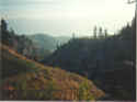 View from the Trout Creek Trestle