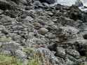 Find the Seals!