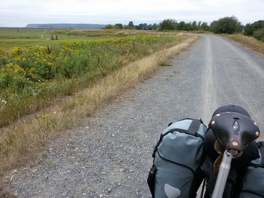 Boundary Bay Dyke Trail
