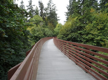 ODT Trestles Towards Sequim