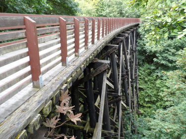 ODT Trestles Towards Sequim