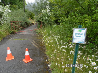 Bridge out! - Short Detour