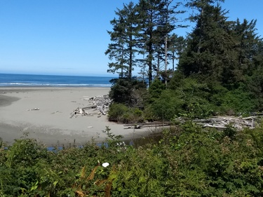 Lunchtime Vista