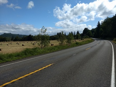 Monte Elma Road