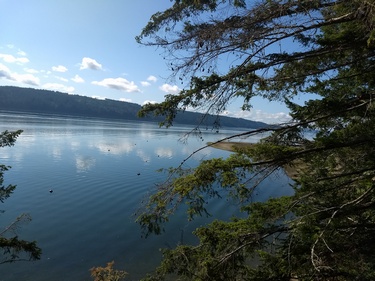 Hood Canal Views