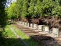 War Graves at the Memorial