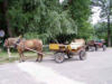 Rides through the Park