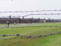 Birkenau