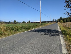 Quiet Country Road - Adshead Rd.