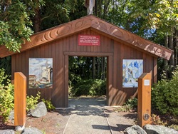 A Tribute to First Nations - Emily Carr