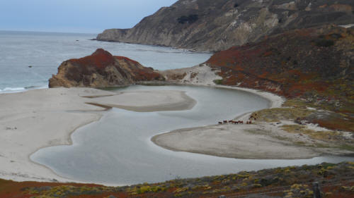 Tidal Pools