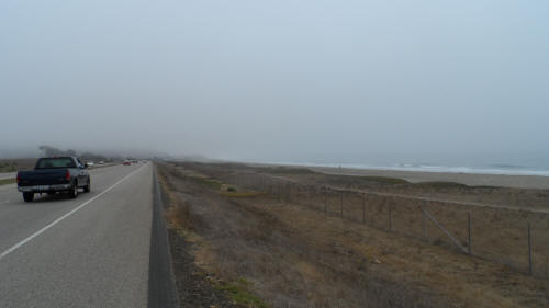 Foggy Roads