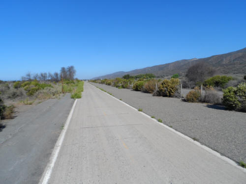 Desolate Bike Path