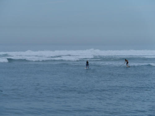 Paddle Boarders
