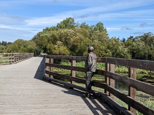 Blenkinsop Trestle