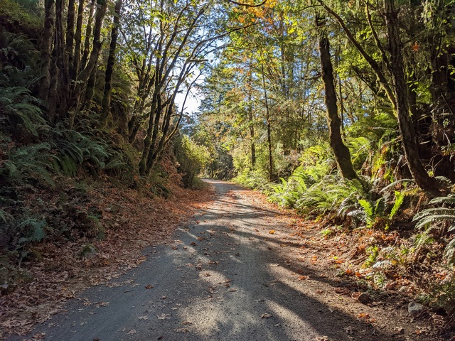 Along the Galloping Goose
