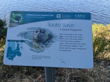 Sooke Basin Information