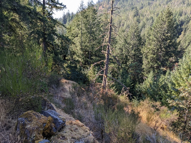 G.G. - Scenic Views