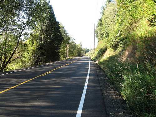 Old Elma-McCleary Road