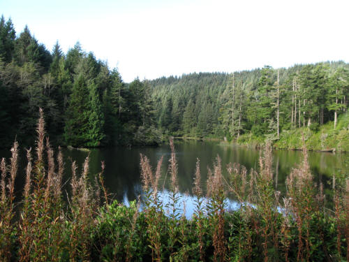 Clear Lake south of Reedsport