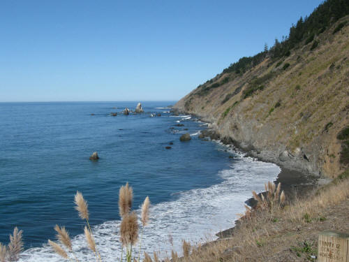 Back at the Coast