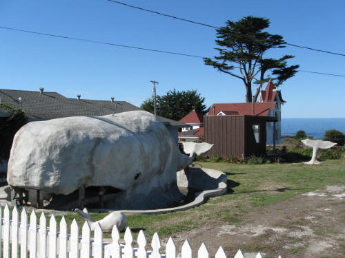 Whale of a Tail!