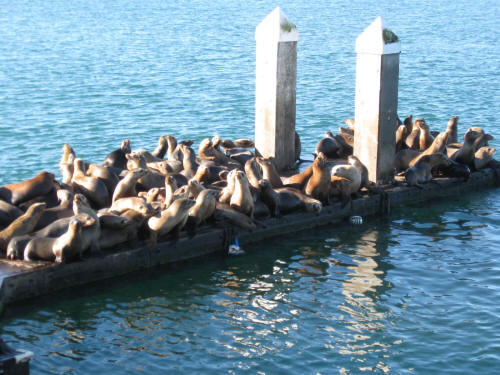 No Room for Boaters!