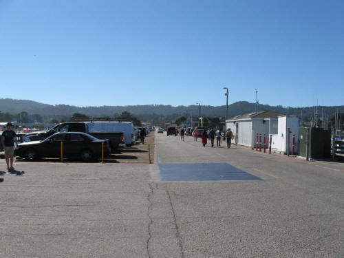 The Real Fisherman's Wharf