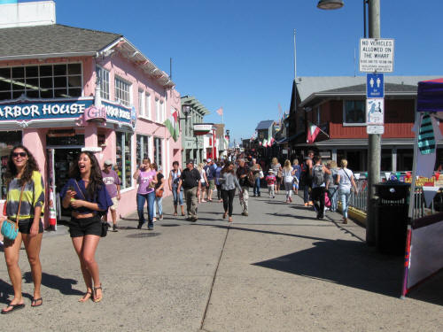 The Touristy Fisherman's Wharf