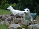 Seal Sanctuary